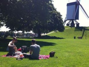 IMG_1239 picnic molen2